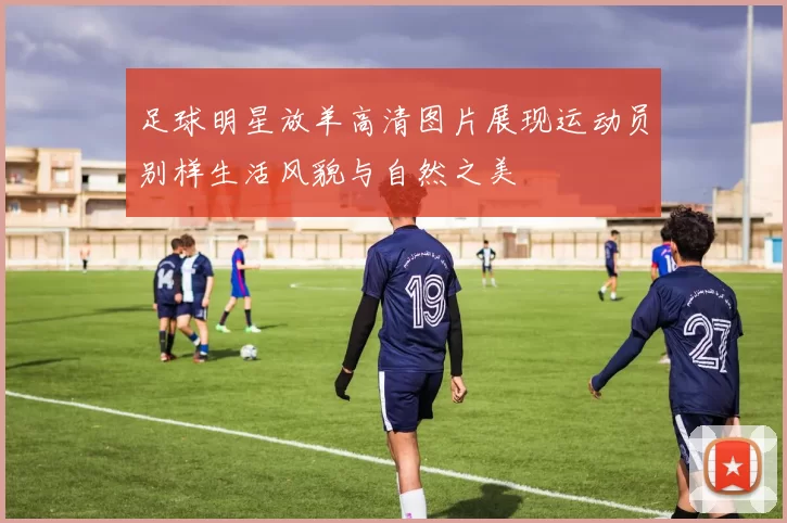 足球明星放羊高清图片展现运动员别样生活风貌与自然之美