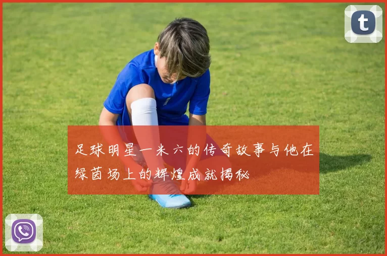 足球明星一米六的传奇故事与他在绿茵场上的辉煌成就揭秘