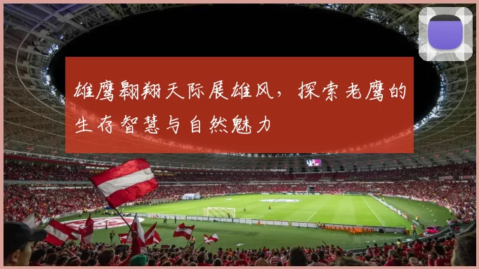 雄鹰翱翔天际展雄风，探索老鹰的生存智慧与自然魅力