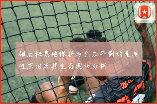 雄鹿栖息地保护与生态平衡的重要性探讨及其生存现状分析