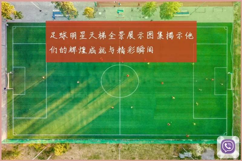 足球明星天梯全景展示图集揭示他们的辉煌成就与精彩瞬间
